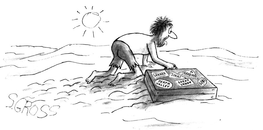 A dehydrated tourist visits different deserts.