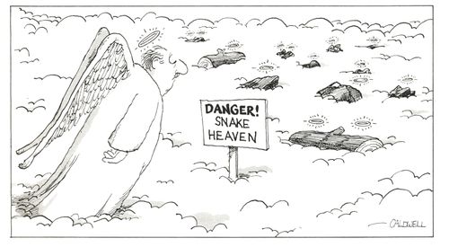 Danger! Snake heaven.