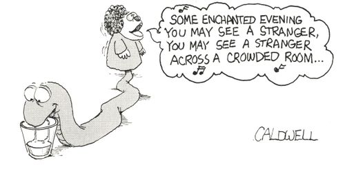 "Some enchanted evening you may see a stranger, you may see a stranger across a crowded room..."