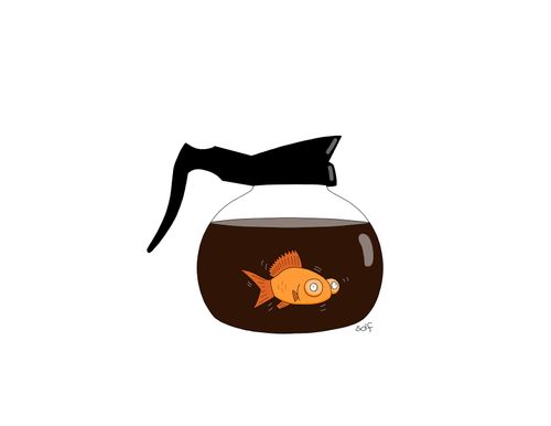 Goldfish in a coffee pot