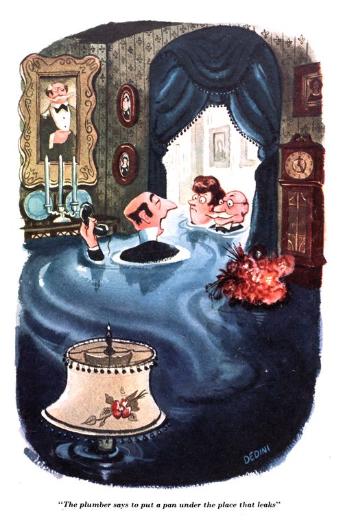 "The plumber says to put a pan under the place that leaks."