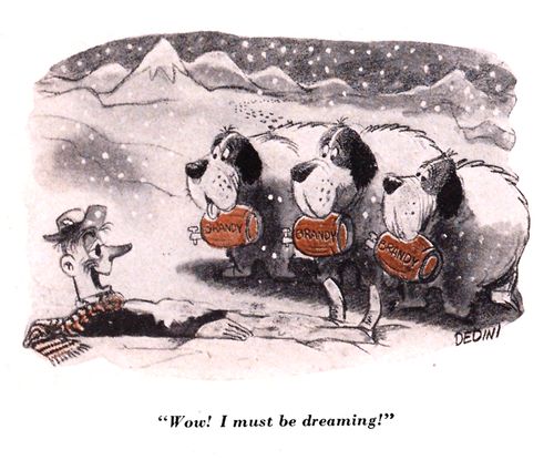 "Wow! I must be dreaming!"