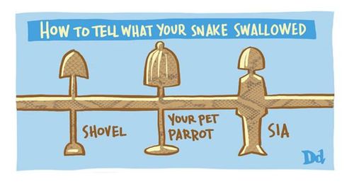 How to Tell What Your Snake Swallowed