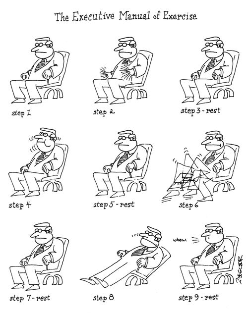 The Executive Manual of Exercise