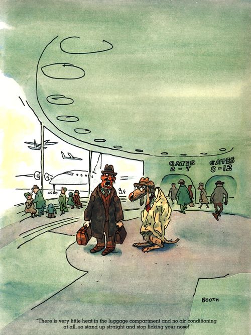 "There is no air conditioning in the luggage compartment so stand up straight and stop licking your nose!"