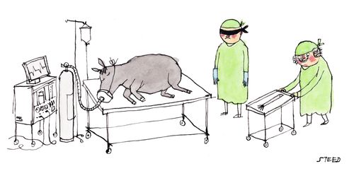 A blindfolded vet attempts to pin the tail on a donkey