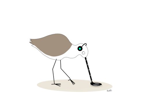 A sandpiper uses a metal detector along the beach.