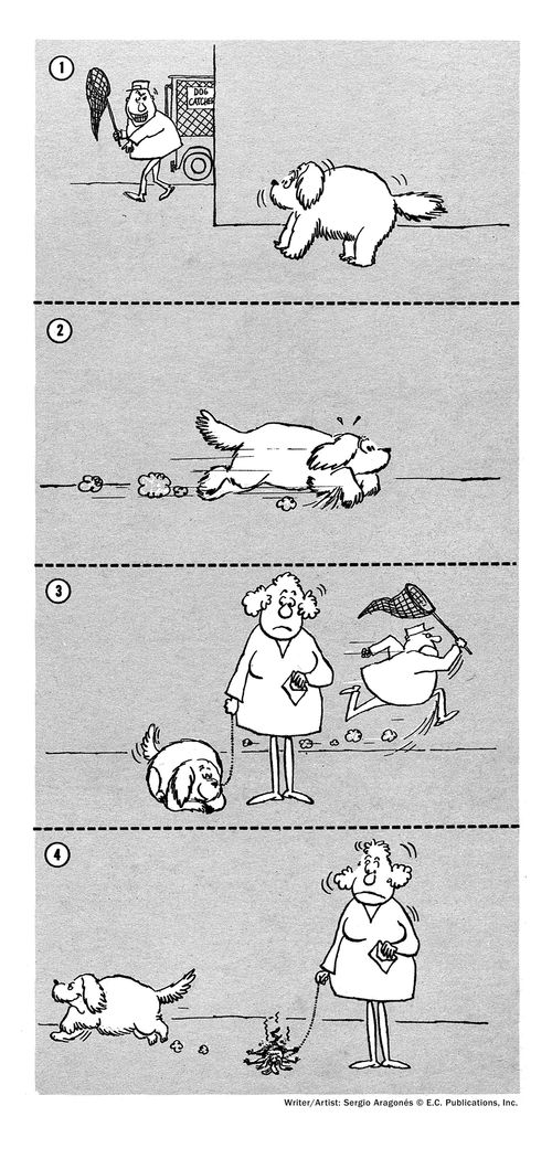 Dog joins another to run after a ball.