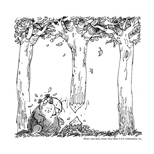 A beaver chews through a tree which remains hanging in the air.