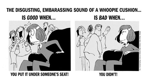 The disgusting, embarrassing sound of a whoopie cushion...