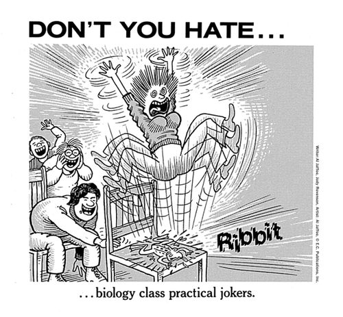 Don't you hate... biology class practical jokers. 