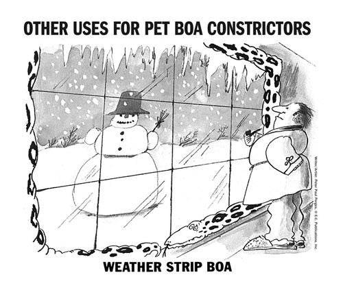 Other uses for boa constrictors: weather strip boa.