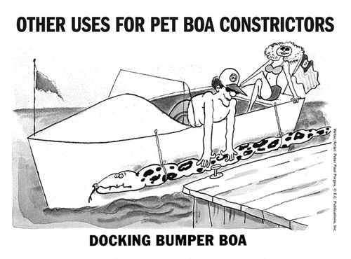 Other uses for boa constrictors: Docking bumper boa.