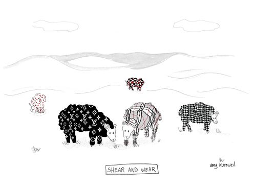 Shear and Wear