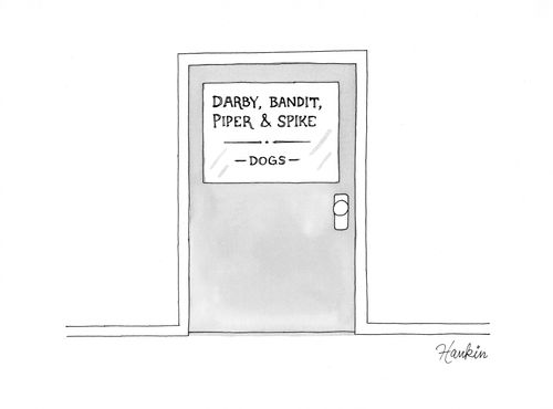 "Darby, Bandit, Piper & Spike - Dogs."