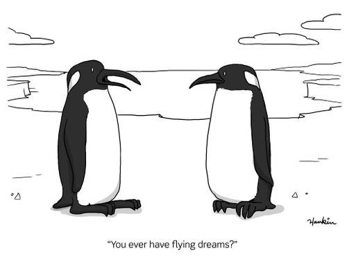 "You ever have flying dreams?"