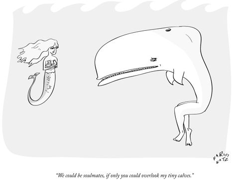 "We could be soulmates, if only you could overlook my tiny calves."