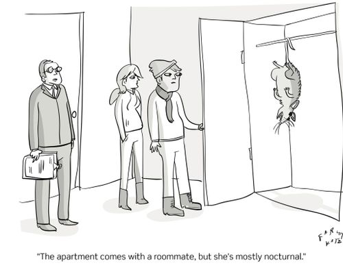 "The apartment comes with a roommate, but she's mostly nocturnal."