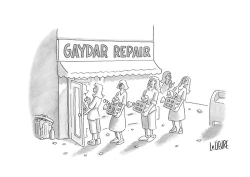 Gaydar Repair