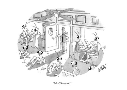 "Whoa! Wrong bar?"