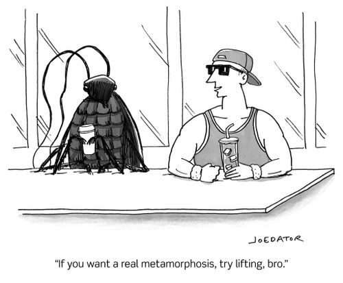 "If you want a real metamorphosis, try lifting, bro."