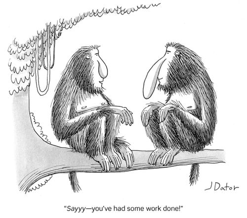 "Sayyy - you've had some work done!"