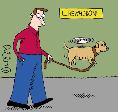 Labradrone