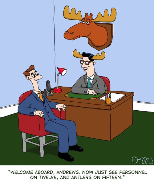 "Welcome abroad, Andrews. Now just see personnel on twelve, and antlers on fifteen."