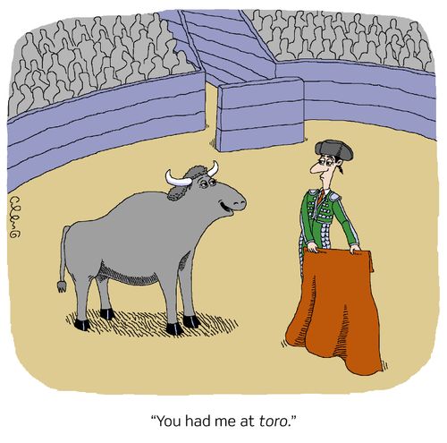 "You had me at toro."