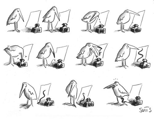 Bird draws a snake.