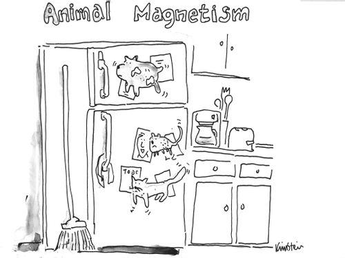 Animal Magnetism