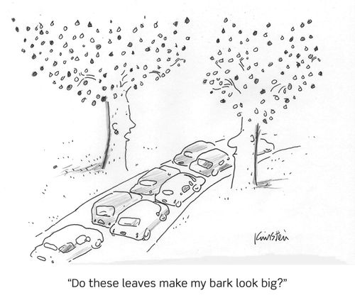 "Do these leaves make my bark look big?"
