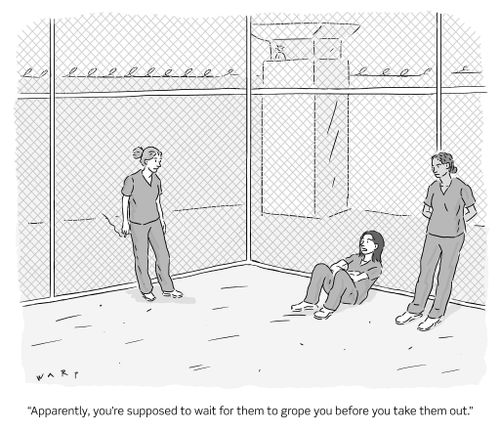 "Apparently, you're supposed to wait for them to grope you before you take them out."
