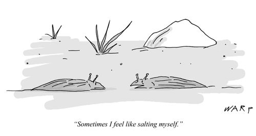 "Sometimes I feel like salting myself."