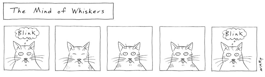 "The Mind Of Whiskers."