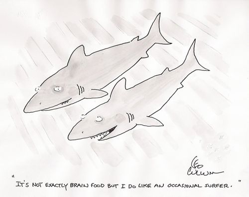 "It's not exactly brain food but I do like an occasional surfer."