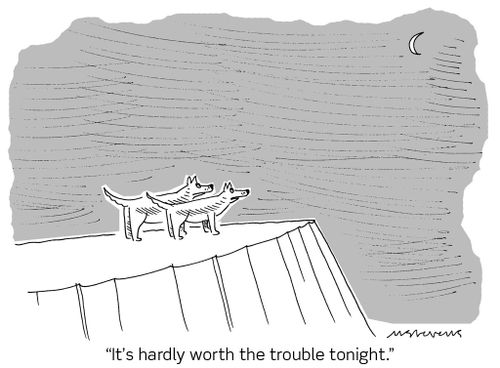 "It's hardly worth the trouble tonight."