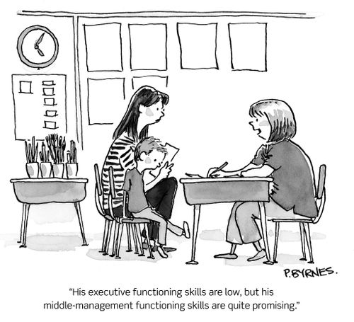 "His executive functioning skills are low, but his middle-management functioning skills are quite promising."