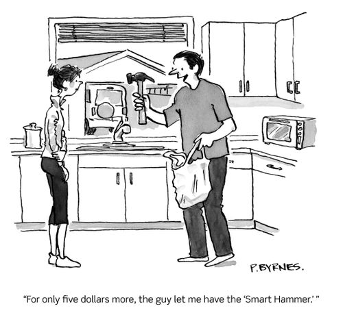 "For only five dollars more, the guy let me have the 'Smart Hammer.'"