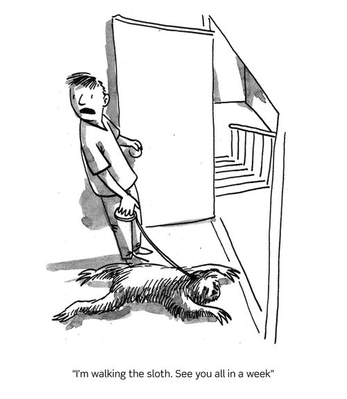 "I'm walking the sloth. See you all in a week."