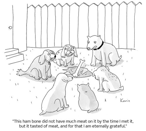 "This ham bone did not have much meat on it by the time I met it, but it tasted of meat, and for that I am eternally grateful."