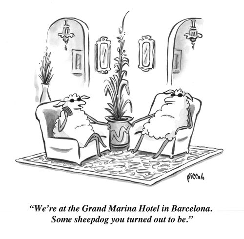 "We're at the Grand Marina Hotel in Barcelona. Some sheepdog you turned out to be."