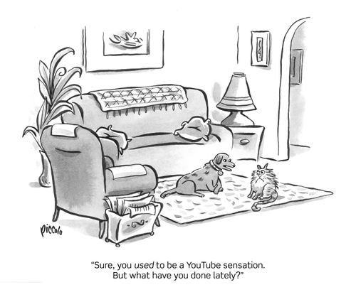 "Sure, you used to be a YouTube sensation. But what have you done lately."
