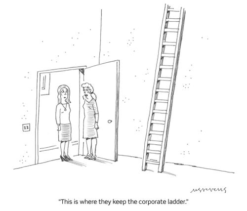 "This is where they keep the corporate ladder."