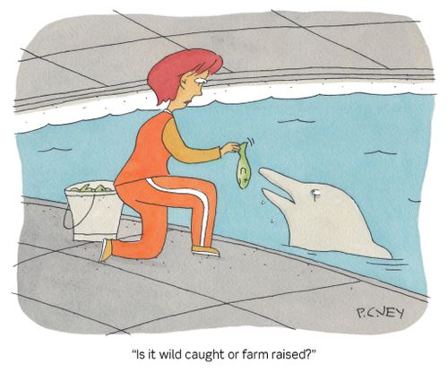 "Is it wild caught or farm raised?"