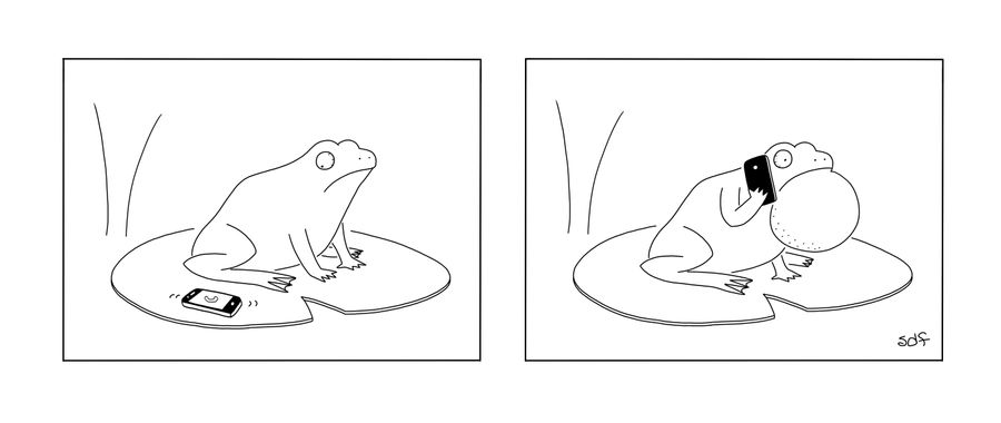 A frog answers a phone