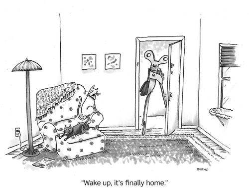 "Wake up, it's finally home."