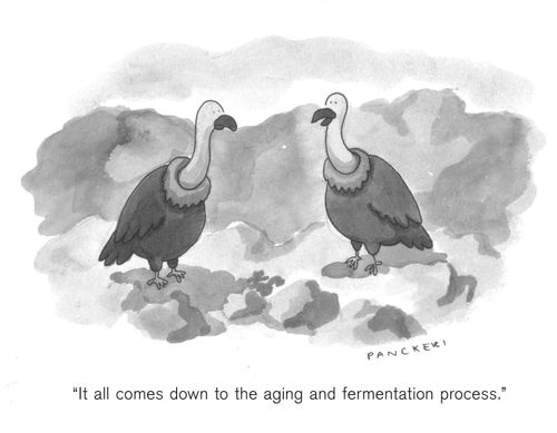 "It all comes down to the aging and fermentation process."