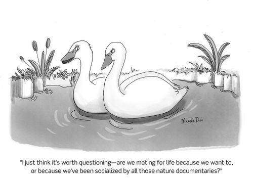 "I just think it's worth questioning -- are we mating for life because we want to, or because we've been socialized by all those nature documentaries?"