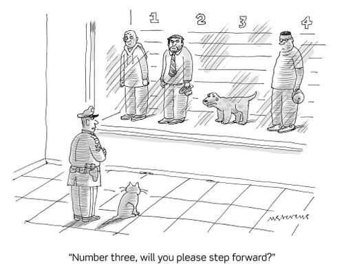 "Number three, will you please step forward?"